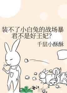装不了小白兔的战场暴君不是好王妃?